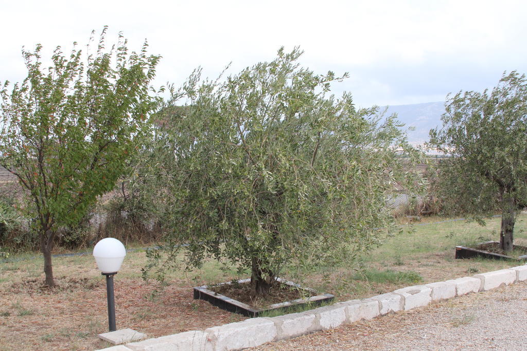 Agriturismo Silos Agri Villa San Severo Luaran gambar