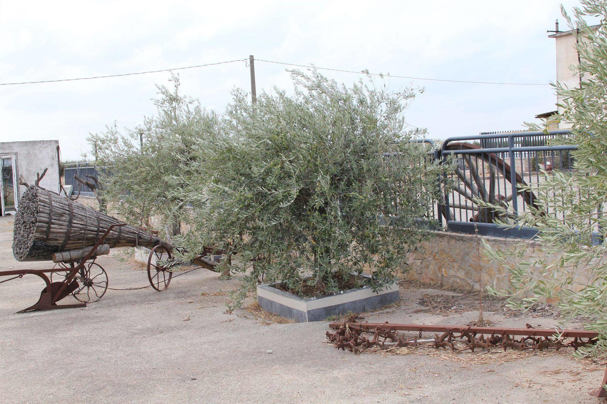 Agriturismo Silos Agri Villa San Severo Luaran gambar